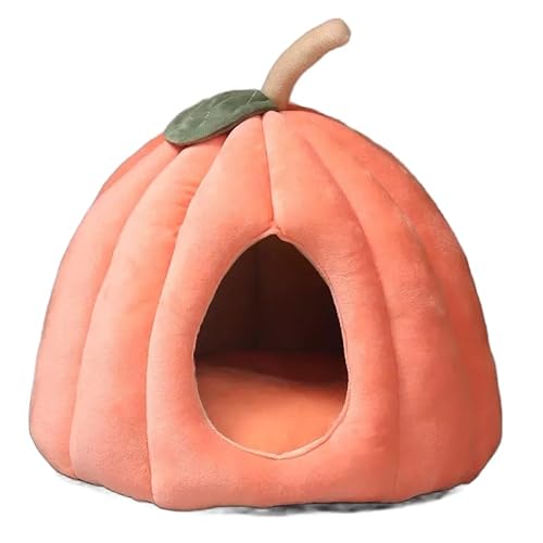 Lxbh LnEX ybgxbh Lp p ^ ybgnEX h[^ ӂӂ _炩 ۉ g    KȐ  NbV ybg}bg t/H/~