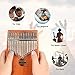 Kalimba 17 Keys Thumb Piano with Protective Box, Tuning Hammer and English Study Instruction. Portable Mbira Wood Finger Piano, Gifts for Kids and Adults Music Lovers