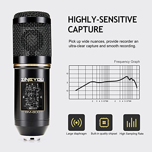 Zingyou Condenser Microphone Bundle, Bm-800 Mic Set For Studio Recording & Brocasting (Microphone Kit (Black)) #TOP4