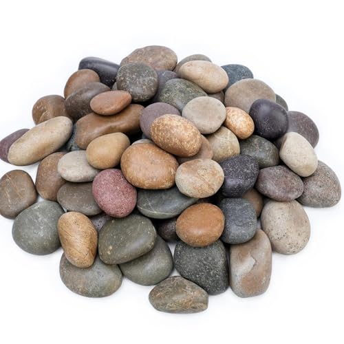 NUPICK 30lb Mexican Beach Pebbles, 2-3" Large River Rocks for Landscaping, Smooth Garden Rocks for Outdoor Paving, Natural Pebbles for Indoor Plants, Decorative Stones for Planters, Fish Tank, Fountai