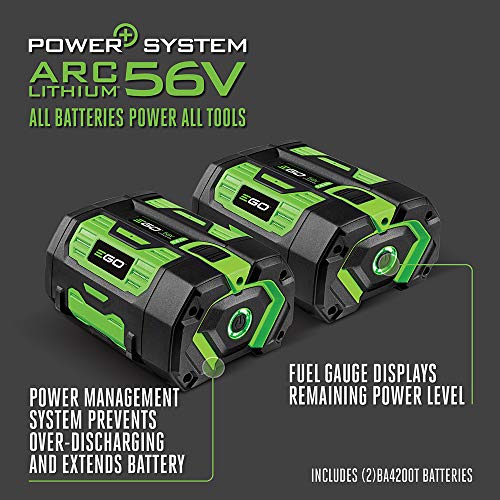 EGO Power+ PST3042 3000W Nexus Portable Power Station for Indoor and Outdoor Use Two 7.5Ah Battery Included, Black
