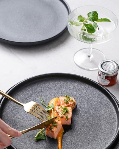 Lareina-Dinner-Plates-Scratch-resistant-1025-Inch-Flat-Ceramic-Plate-Set-of-4-Porcelain-Plates-with-Lipped-Edge-for-Salad-Steak-in-Kitchen-Restaurant-Natural-Primitive-Texture-Cast-Iron-Black Lareina Dinner Plates Scratch resistant 1025 Inch Flat Ceramic Plate Set of 4 Porcelain Plates with Lipped Edge for Salad Steak in Kitchen Restaurant Natural Primitive Texture Cast Iron Black