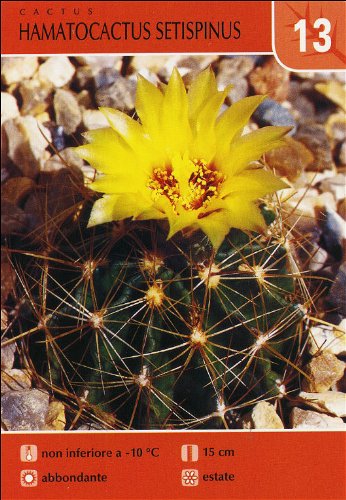 Le più belle piante grasse. 50 schede illustrate