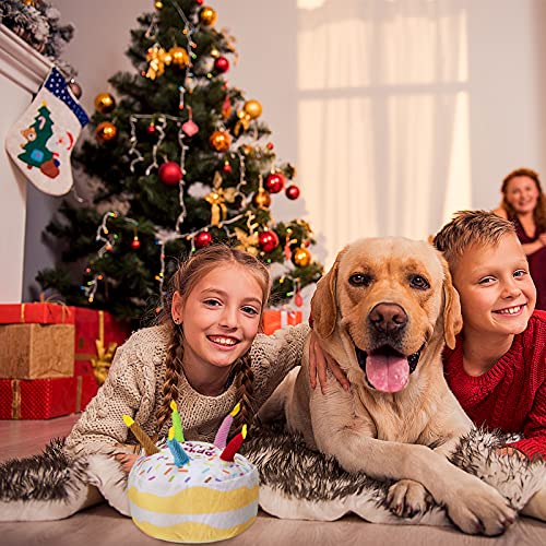 Sumind Hund Geburtstag Spielzeug Hund Geburtstagstorte Spielzeug Quietschendes Hundespielzeug Weiches Plüsch Hundespielzeug, Groß, 7,3 Zoll
