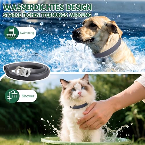 2 Pcs Floh Zeckenhalsband für Katzen & Hunde | Bis zu 16 Monate Langzeitschutz | Natürlicher Floh-und Zeckenschutz | Wasserdichter Verstellbares (Schwarz, Universal)