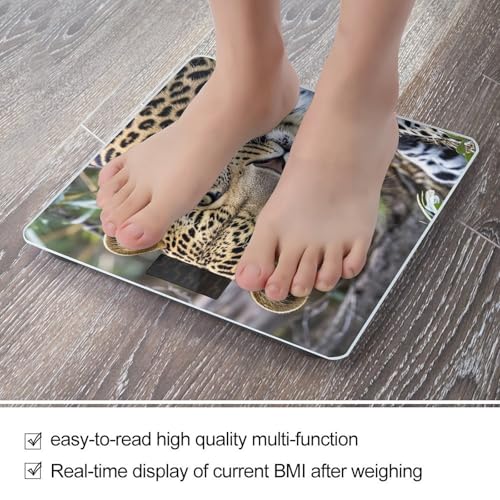 Báscula digital de vidrio templado diseño leopardo africano miniatura 5