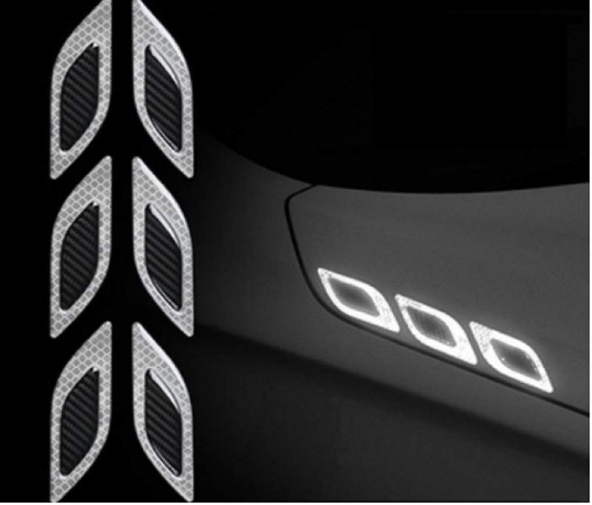 TRUE LINE AutomotiveCarbon Fiber Reflective Door Fender Flare Marker Trim Molding 6PC (Outer Silver)