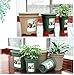 TRUEDAYS 10 PCS 1 Gallon Plastic Garden Flower Pots with Drainage Seeding Plant Container Nursery Pot with Saucers Green