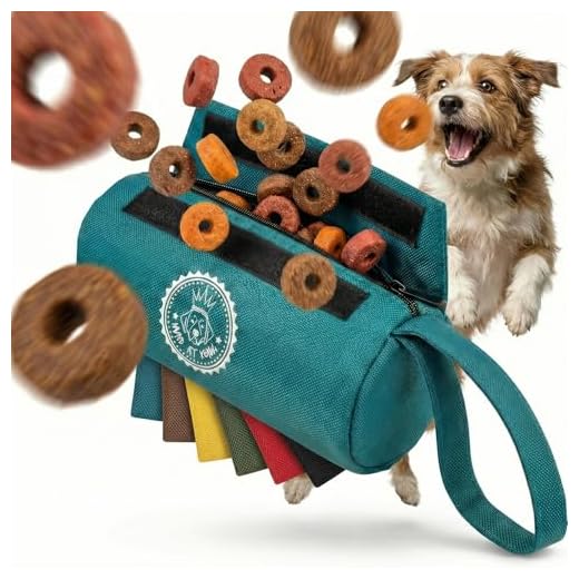 HUND IST KÖNIG Premium Apportierdummy für Hunde, Futterdummy für Hunde-Leckerlie, idealer Futterbeutel für das Hunde-Training oder Welpen-Erziehung, mit gratis ebook (Himmelblau)