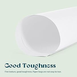 MESHA White Large Paper Bags 16x6x12 Inch 100 Pack Kraft Shopping Gift Bags with Handles Bulk for Small Business, Party, Recycled