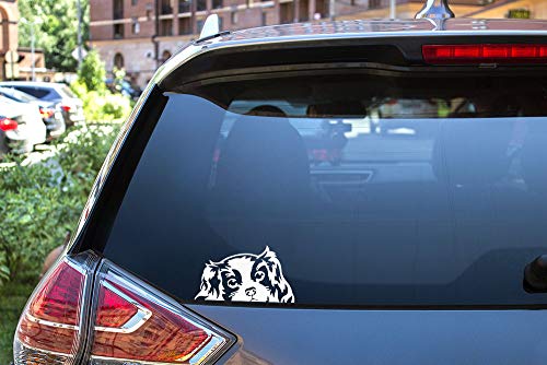 Image of WIRESTER 6 inch Clear Vinyl Decal Sticker Decoration for Car Window (Or Any Flat Surface) - Cavalier King Charles Spaniels Dog