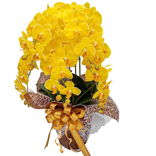 Ӓ 5{ F  1 ԕrt D bZ[WJ[h j J LO   CeA H1_012