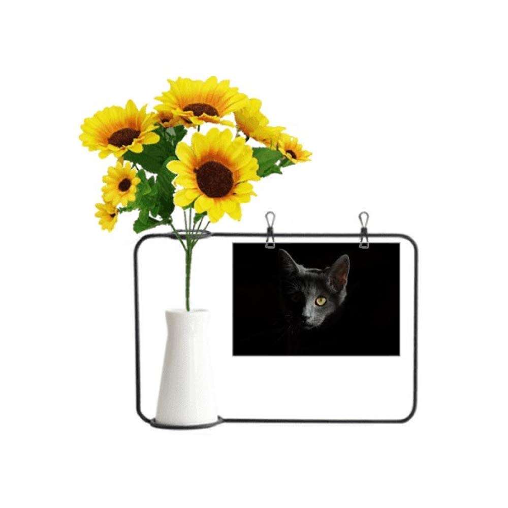 Tournesol artificiel bouteille chat noir pour un décor sans entretien