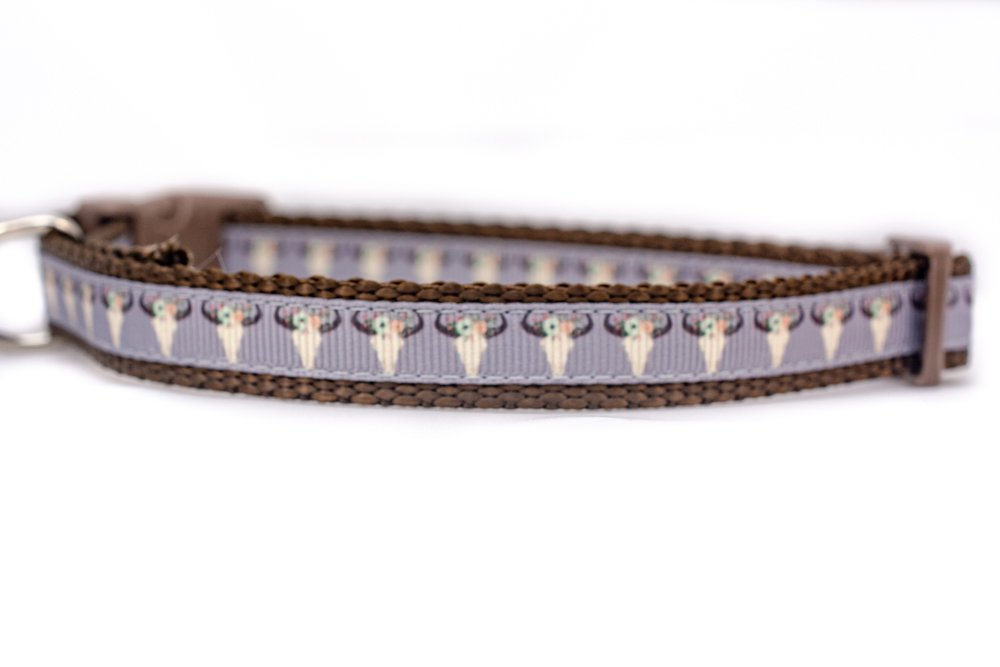 trendy dog accessories