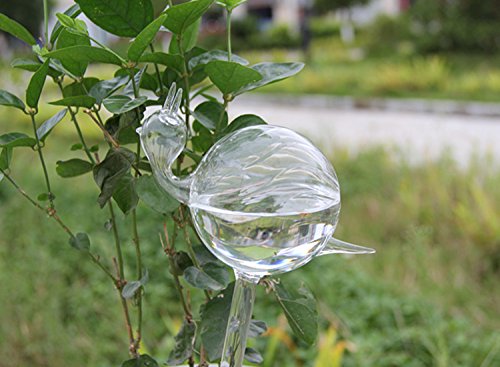 Set di 2 contenitori innaffianti Siyaglass a forma...