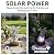 Rempry Solar Garden Dragon Statue Decor for Yard Lawn Patio Outdoor, Fantasy Dragon Lantern Birthday Housewarming Decoration Gifts for Women, Famliy, Friend