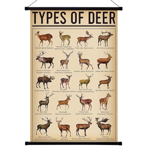 Geyee Deer Vintage Poster Wall Decor Deer Hunting Art Knowledge Picture Prints Wall Decor for Home Kitchen Office Classroom Living Room Bedroom Frame 15.8 x 23.6 Inch