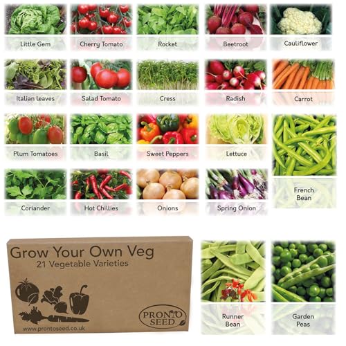 Pronto Seed Grow Your Own Vegetable & Herb Kit – 21 Varieties, 1700+ Seeds for Planting UK – Salad, Spicy, Peas & Beans Mix – Gardening Gifts for Men & Women with Growing Guide