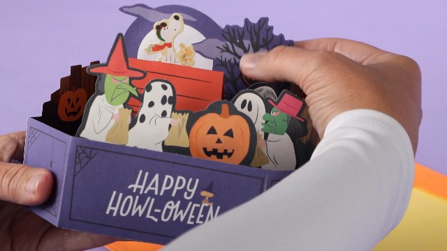 Amazon.com: Hallmark Paper Wonder Peanuts Musical 3D Pop-Up