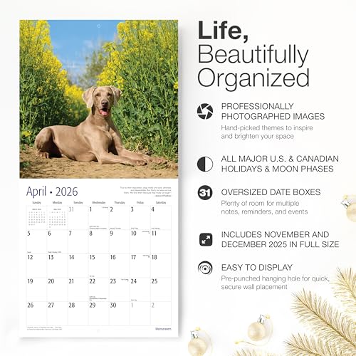 Image of RED EMBER Weimaraners 2026 Wall Calendar 12 Month | 12 inch x 24 inch Open | Thick & Sturdy Paper | Giftable | Cute Puppy Dog Calendar 2026