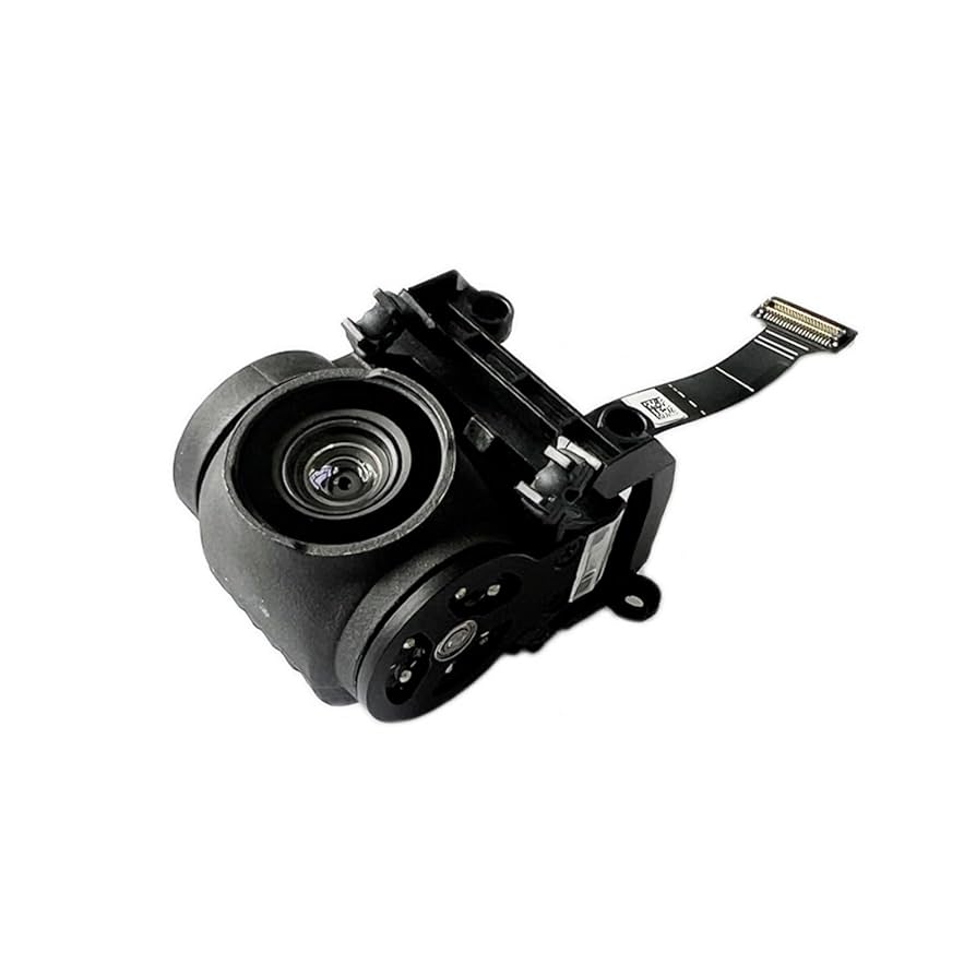 Amazon.com: XBERSTAR Gimbal Camera for DJI Neo Drone Gimbal