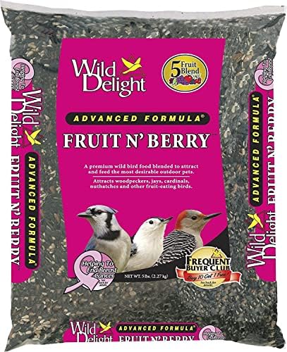 best dried fruit for wild birds that will attract every feathered friend 6 Wild Delight Fruit N