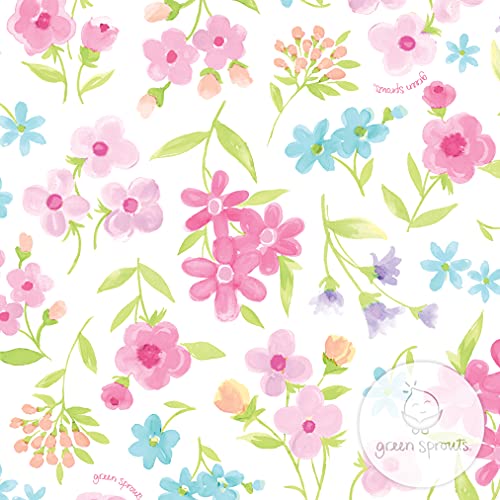 Pañales Y Toallitas Húmedas, Drugstore pañal nadar Marca green sprouts (2)