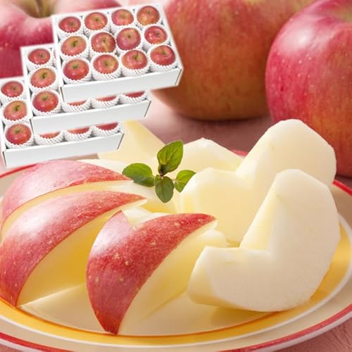 R`Y 󂠂 Tӂ  2.8kg×3 v8.4kg