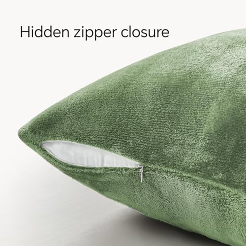 Image of BEDELITE Velvet Pillow Covers with Zipper, Sage Green, 26x26 Inches, 2 Pack