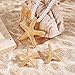Bocar Gold Starfish Pendant Necklace Earring for Women Starfish Rope Chain Necklace Set Beach Choker Necklace (NK-10761-Starfish)