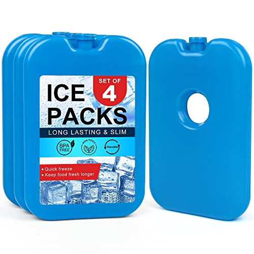 Top 10 Lunch Box Cooler Packs of 2022 Katynel
