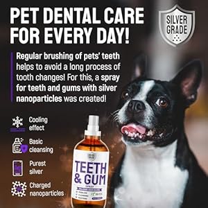 Dog Dental Spray with Silver – Cat Dental Care – Cat & Dog Teeth Cleaning – Teeth & Gum for Tartar, Plaque, & Foul Odor – 8 oz Dog Dental Spray with Silver–Cat Dental Care–Cat Dog Teeth Cleaning–Teeth Gum for Tartar Plaque Foul Odor–8 oz