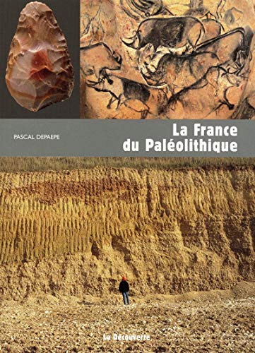 Télécharger La France du paléolithique Livre eBook France