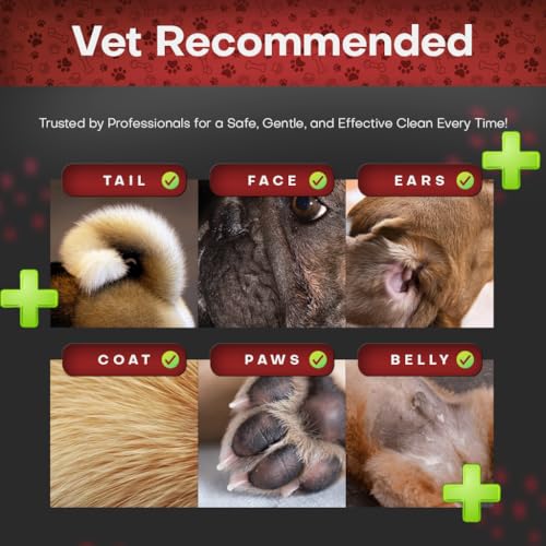 Petazy 2% Chlorhexidine Wipes for Dogs 3X Larger | Yeast Infection Ringworm Fungus Hot Spot Itch Relief | Medicated Antibacterial Antifungal Gentle Soothing Topical Wipes for Dog Cat | 50 Wipes 5x6 - Image 5