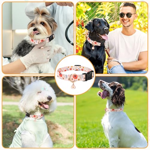 Sommer Hundehalsband Bunt, Blume & Dinosaurier-Designhundeleine mit Schnellverschluss Kunststoffschnalle, Komfortable Baumwolle Halsband für Jungen und Mädchen Hunde (Blumen, S(Hals:24-40cm))