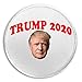 Trump 2020-3