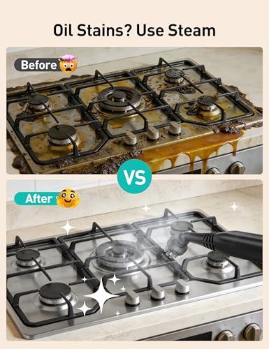 Industrial Steam Cleaner for Home