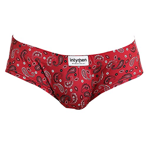 Paisley Trunk ING067