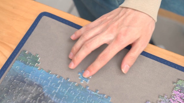 Amazon.com: Tektalk Foldable Jigsaw Puzzle Board with 6 Sorting