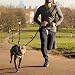 Hundeleine aus Leder, 2,4 m, strapazierfähig, echtes Leder, multifunktional, Starke Lederleine für kleine, mittelgroße und große Hunderassen, Hund Zubehör