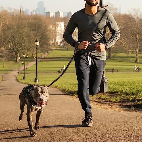 Hundeleine aus Leder, 2,4 m, strapazierfähig, echtes Leder, multifunktional, Starke Lederleine für kleine, mittelgroße und große Hunderassen, Hund Zubehör
