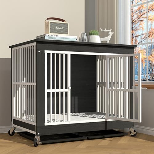 _ȎAƋLX^[thbOnEXAACAEbh2in1pP[W(Black,Large)