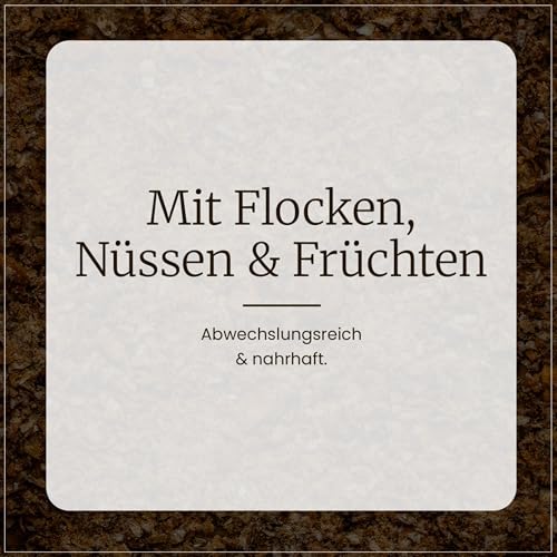 Erdtmanns Fettfutter für Wildvögel 15 × 1000 g – energiereiches Ganzjahresfutter mit Haferflocken, Erdnüssen & Früchten – ideal für Balkon & Garten – beliebt bei Meisen, Amseln