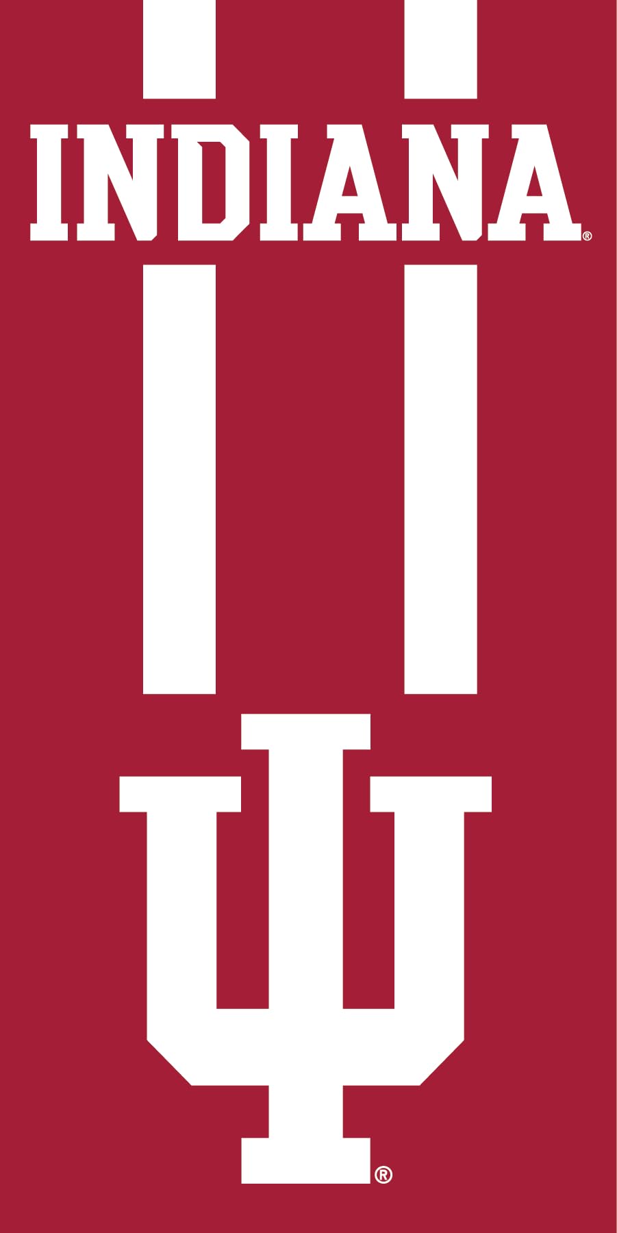Northwest NCAA Indiana Hoosiers Unisex-Adult Beach Towel, 30" x 60", Zone Read