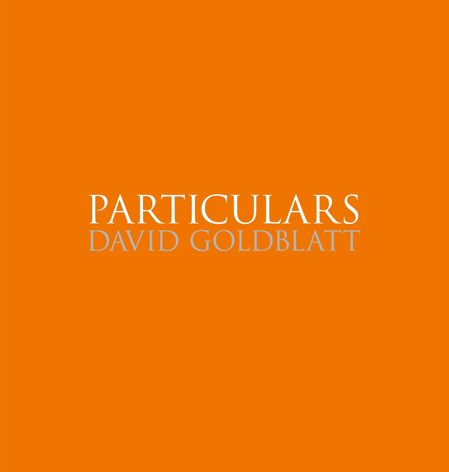 David Goldblatt: Particulars