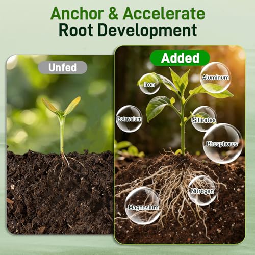 29QT Potting Soil Mix for Indoor Plants - Contains Perlite, Peat Moss, Coco Coir & Rice Charcoal, Natural & Organic Material with Well-Draining, Light & Aerated Texture for Healthy Roots & Fast Growth by Avalution - Image 4