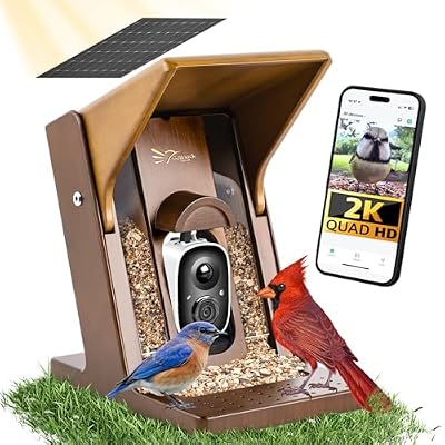 Gallnack Smart Bird Feeder with Camera Solar Powered - Biomimetic Design, 2K Video, AI Identify Species & Instant Arrival Alerts, Weatherproof, Night Vision, App Sharing, Gift for Family & Bird Lovers