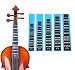 HOT SEAL Violin Finger Guide Sticker Fingerboard Guide Fretboard Marker Label Finger Chart for Practice Beginners (4/4, Black)