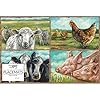 Primitives by Kathy Farmhouse Animals Tearaway Single Use Paper Placemat Pad of 24 from