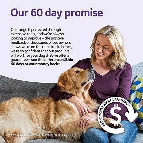 Will A Flintstone Vitamin Hurt A Dog